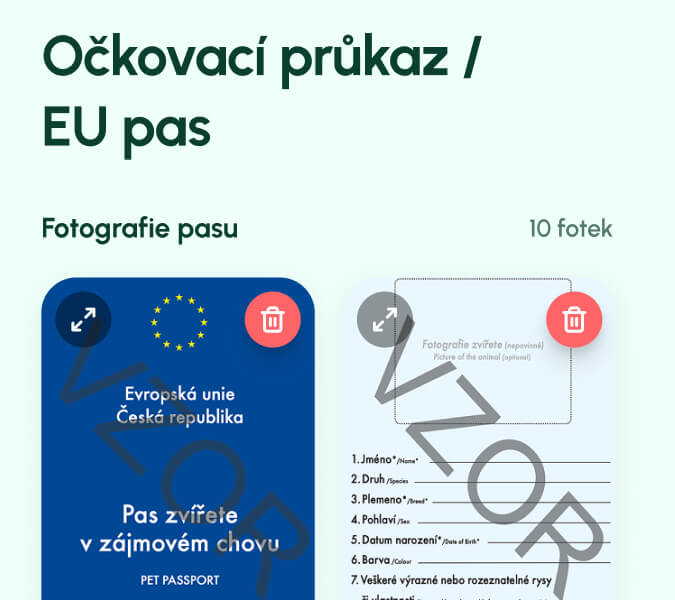 Psí pas-2 Psí pas